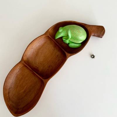 Der güldene Erbsfrosch, Froschskulptur, Teak, Teakschale, Froschkönig, schlafender Frosch, Frosch