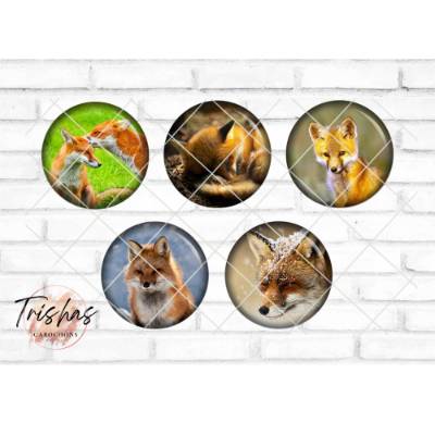 Glas Cabochon mit Motiv Fuchs Füchse Babyfuchs, Fotocabochon, Handmade Cabochon, verschiedene Größen, Motivcabochon