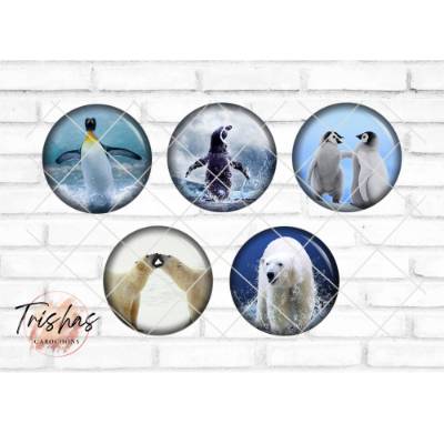 Glas Cabochon mit Motiv Pinguin Babypinguin Eisbär Eisbären, Fotocabochon, Handmade Cabochon, verschiedene Größen, Motiv