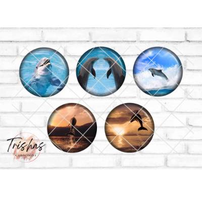 Glas Cabochon mit Motiv Delfin Delfine, Fotocabochon, Handmade Cabochon, verschiedene Größen, Motivcabochon