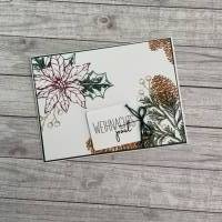 Grukarte zu Weihnachten Post zum Fest, Weihnachtsstern & Tannenzapfen,  Handarbeit, Stampin'Up!