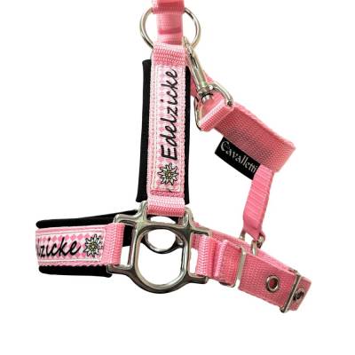 Halfter Mini Shetty Edelzicke Pferdehalfter Größe Mini Shetty rosa schwarz