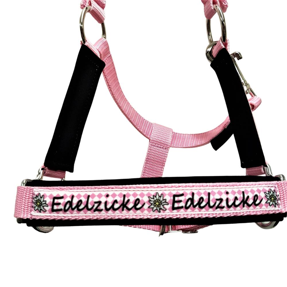 Halfter Mini Shetty Edelzicke Pferdehalfter Größe Mini Shetty rosa schwarz