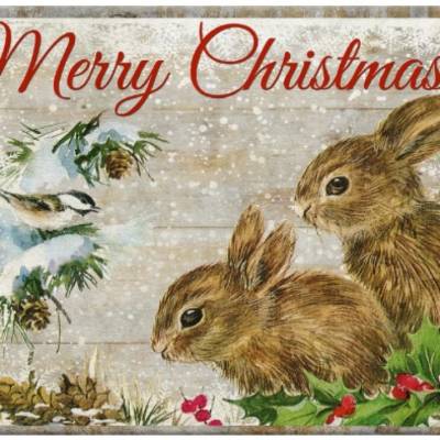 Reispapier - Motiv Strohseide - A4 - Decoupage - Vintage - Weihnachten - Christmas - 19562