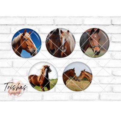 Glas Cabochon mit Motiv Pferd Pferde Horse, Fotocabochon, Handmade Cabochon, verschiedene Größen, Motivcabochon