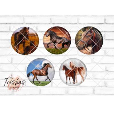 Glas Cabochon mit Motiv Pferd Pferde Horse, Fotocabochon, Handmade Cabochon, verschiedene Größen, Motivcabochon