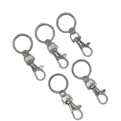 Karabiner mit Schlüsselring 