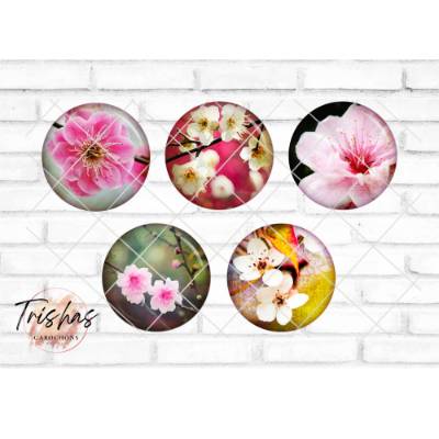 Glas Cabochon mit Motiv Orchideen Blumen Frühling, Fotocabochon, Handmade Cabochon, verschiedene Größen, Motivcabochon