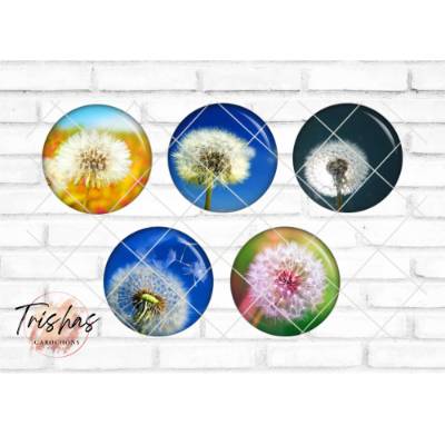 Glas Cabochon mit Motiv Pusteblume Löwenzahn Blumen Frühling, Fotocabochon, Handmade Cabochon, verschiedene Größen, Moti