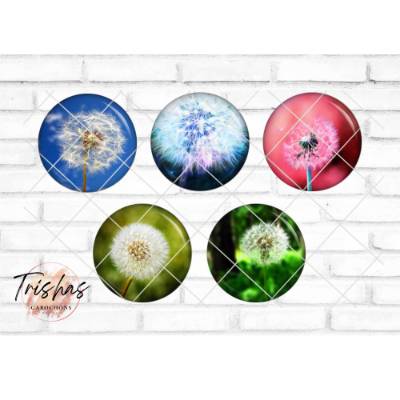 Glas Cabochon mit Motiv Pusteblume Löwenzahn Blumen Frühling, Fotocabochon, Handmade Cabochon, verschiedene Größen, Moti