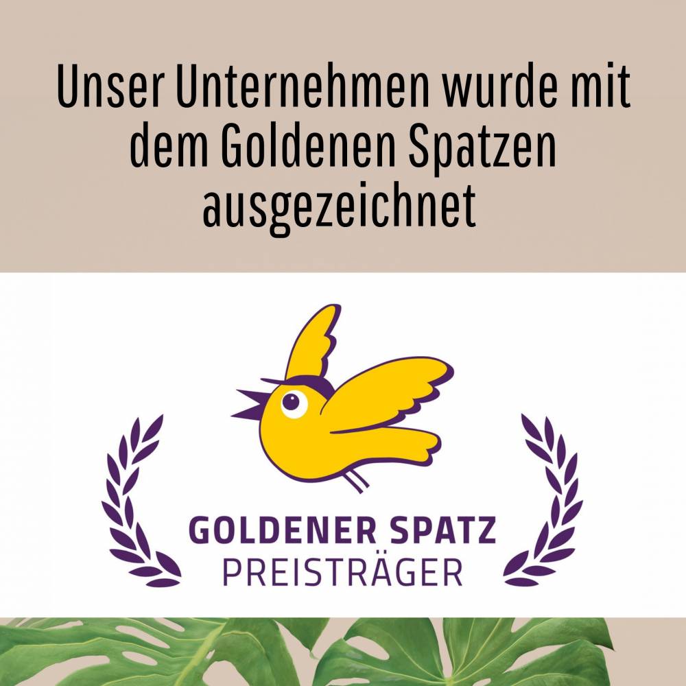 Digitale Unterrichtseinheit Afrika der bunte Kontinent, ideal für Projekttage für die 4. und 5. Klasse Bild 9