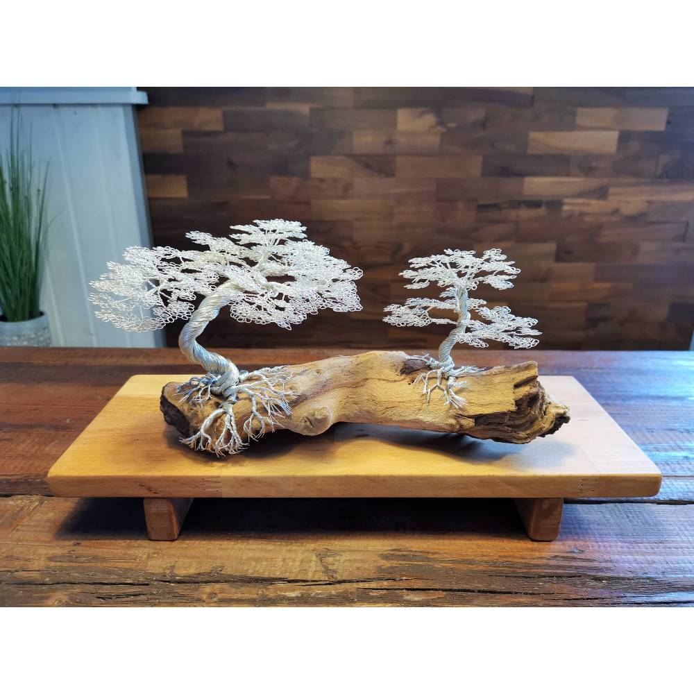 bonsai boeking Bougainvillea main image 0