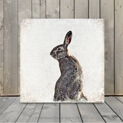 HASE Waldtiere Rustikales Bild auf Holz Leinwand Kunstdruck Wanddeko Landhausstil Shabby Chic Vintage handmade kaufen