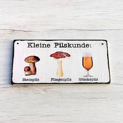 Kleine Pilskunde: Steinpilz Fliegenpilz Glückspilz Holzschild Bier Bierprobe  Türschild Dekoschild