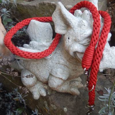 Hundeleine für Groß und Klein 2 mtr. 3-fach verstellbar aus Paracord 