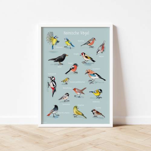 Vogel-Poster Kinderzimmer *Heimische Vögel*, ökologischer Druck