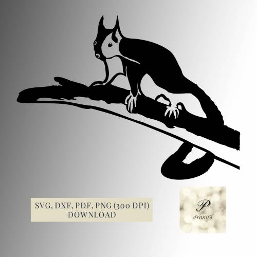 Plotterdatei Eichhörnchen SVG Datei für Cricut | Waldtiere Eichkätzchen Design | Digitaler Download für Bastel- und Plot