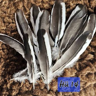 Entenfedern, schwarz/weiß, 10 St. (Hü14)