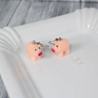 Ohrringe Ohrhänger Schwein Schweinchen Glücksschwein Glücksschweinchen Glücksbringer Glück Ge