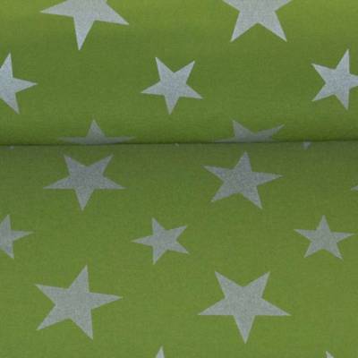 SOFTSHELL  silberne STERNE auf grünem Grund *  ab 0,5 m x 1,45 m breit * Matschhose selber nähen * Nähen
