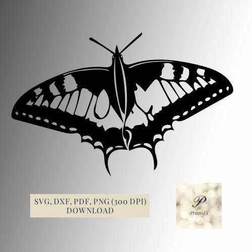 Plotterdatei Schmetterling SVG Datei für Cricut, Schwalbenschwanz Design  Digital Download