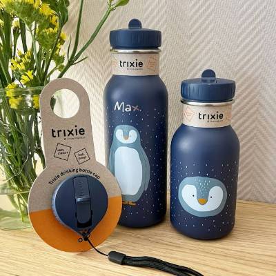Trixi I Kinder Trinkflasche personalisiert aus Edelstahl | Kita | Trixie | Kindergarten-Flasche | Schule | Kindergarten