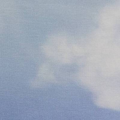 Panel Modal French Terry Cloudy Sky by Lycklig Design blau Ökotex Standard 100 (1m/18,57€)