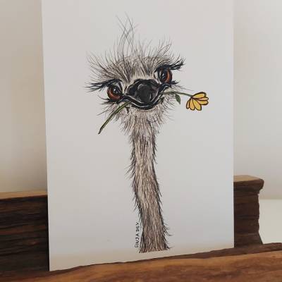 Hello Ostrich - Postkarte