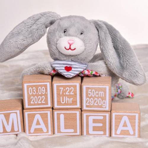Holzwürfel Personalisiert mit Name | Kinderzimmerdekoration | Holzbausteine | Geburtsgeschenk