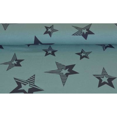 Jersey mit grauen STERNEN * Sterne mit Streifen * Grundfarbe ist MINT * ab 0,5 m