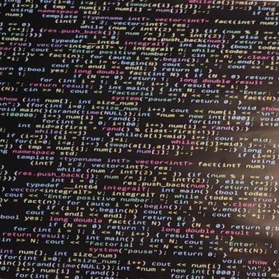 French Terry Sweat Stoff Computercode Nerd Computerschrift schwarz bunt Meterware für Männer & Jungs