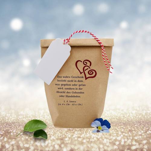 Geschenktüten-Set Spruch von Seneca Sinn des Schenkens Liebe Tüte klein