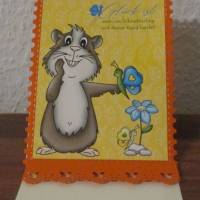 Bild 5