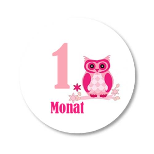 12 Meilensteinaufkleber Eule rosa Aufkleber zwölf Monate Baby Mädchen