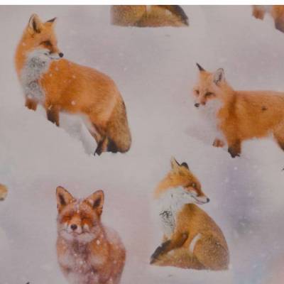 Jersey mit Fuchs Füchsen im Schnee 50 x 160 cm Nähen Stoff Digitaldruck
