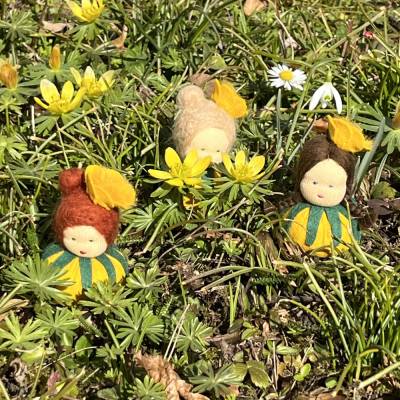 Winterlinge Mini - Blumenkind - Jahreszeitentisch - Winter - Frühling