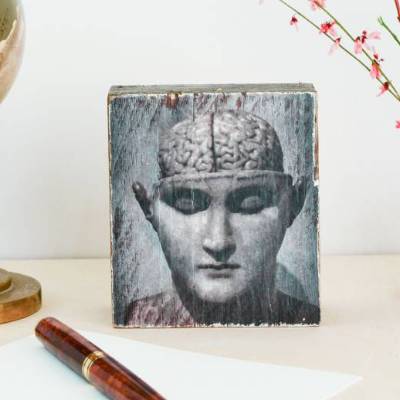 anatomisches Modell des Gehirns, Upcycling alter Holzbalken, Foto auf Holz, 9 x 10 cm