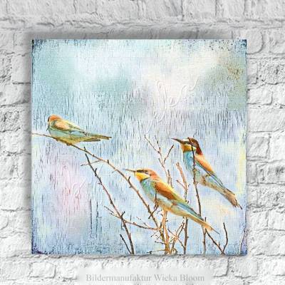 BIENENFRESSER Wandbild Vögel auf Holz Leinwandbild Kunstdruck Wanddeko im Landhausstil Vintage Style Shabby Chic kaufen