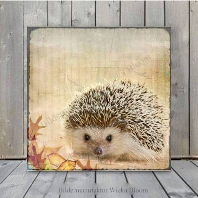 IGELCHEN Waldtiere Stacheltier Wandbild auf Holz Leinwand Kunstdruck Wanddeko retro Landhausstil Shabby Chic kaufen