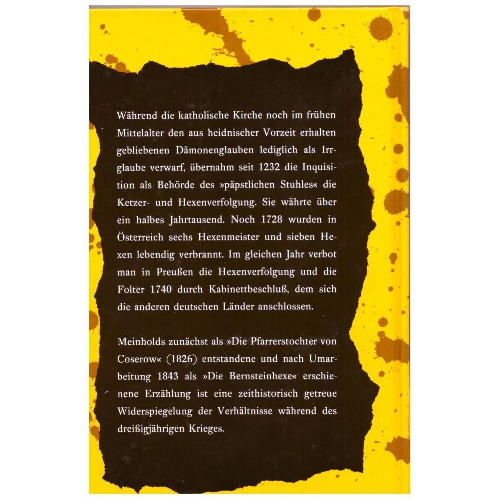 W. Meinhold *** Die Bernsteinhexe Maria Schweidler *** Bild 2