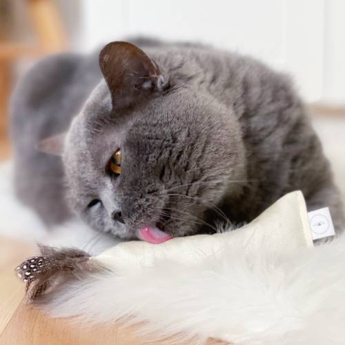 Katzenspielzeug Kicker | Hühnerfedern Katzenminze Dinkel Spielkissen Katzen