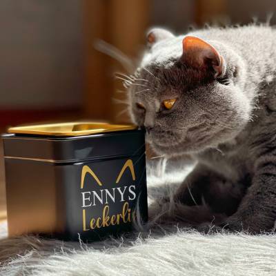 Leckerli Dose personalisiert | Futterdose für Katzen 10x10x10