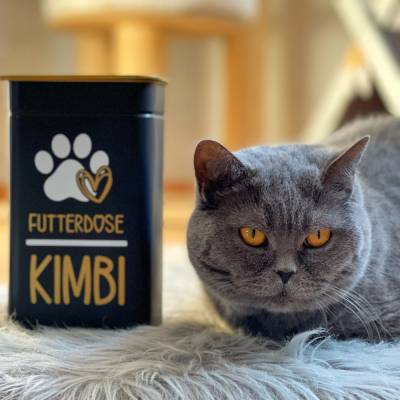 Futterdose personalisiert | Leckerli Dose für Katzen 11x7x20