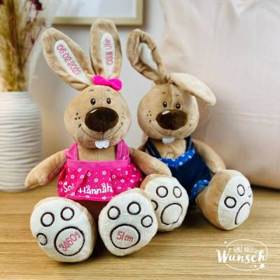 Kuscheltier personalisiert | Osterhase | Ostergeschenk | Geschenk zur Geburt | Stofftier | Häschen | Schmusehase | 