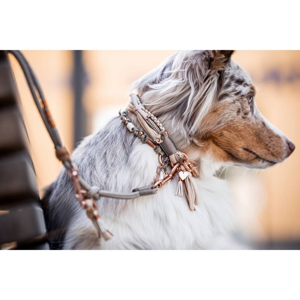EM-Keramik Kette *Gipsymee* Chichi Ivory No. 1 - edles Schmuckhalsband fr  Hunde - aus Tau - Farbe taupe und rosegold