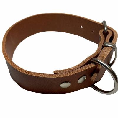 Lederhalsband, Hundehalsband, Wasserbüffelleder, mittelfest, exklusiver Pull Up Effekt, verstellbar, Edelstahl Beschläge