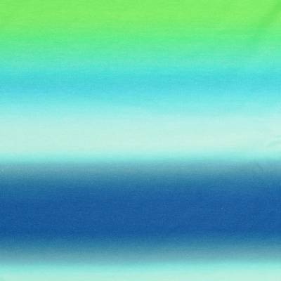 French Terry Sommersweat  Digitaldruck Blau - Grün