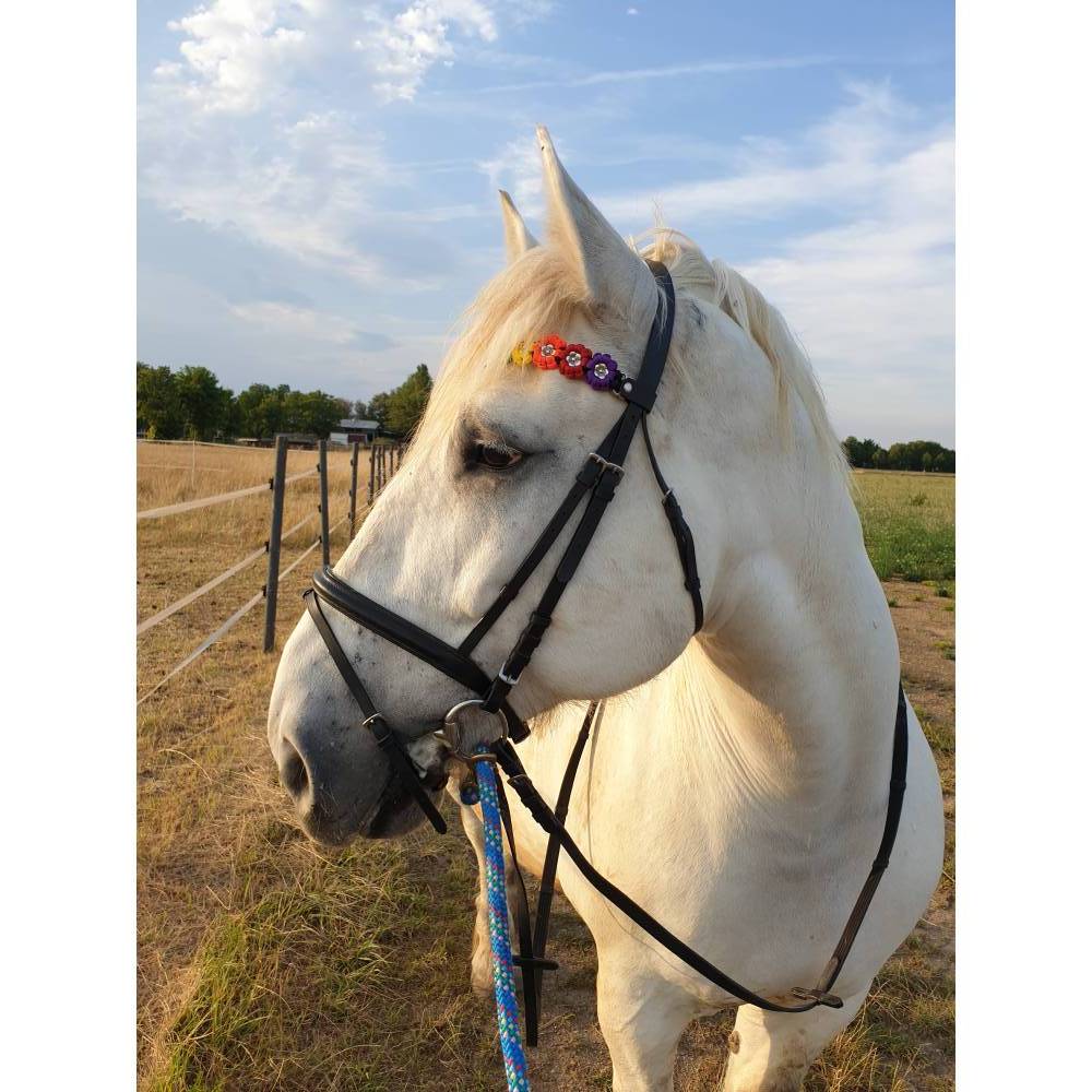 Stirnband / Stirnriemen für Pferde in schmaler Blümchenoptik Rose / Moos mit silbernen Perlem Bild 6