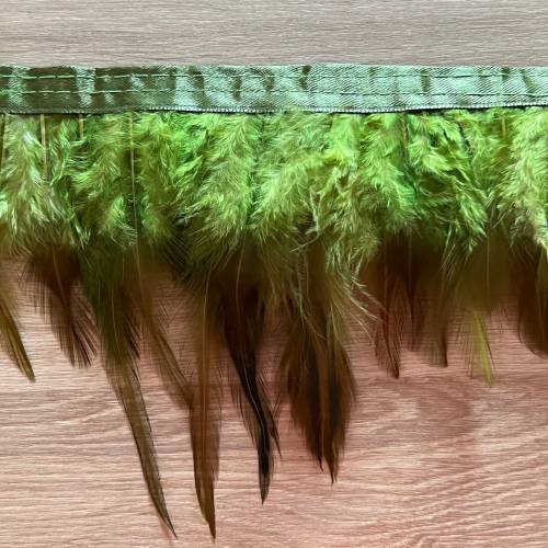 Federborte, Federband , Hahnenfedern, Lime