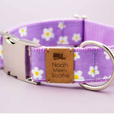 Hundehalsband oder Hundegeschirr mit Blumen, Gänseblümchen, flieder